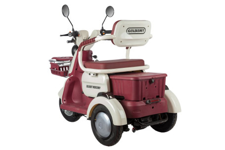 Трицикл электрический Rutrike Gelbert Mercury (48/60V, 650W, бело-красный)