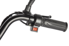 Трицикл электрический Eltreco Porter Fat 700 (черный)