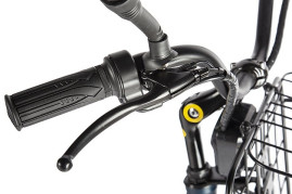 Трицикл электрический Eltreco Porter Fat 700 (черный)