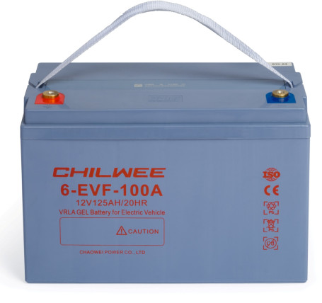 Тяговый аккумулятор Chilwee Battery 6-EVF-100A (12В, 113А/ч)