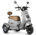 Трицикл электрический Rutrike Gelbert Ogma (48/60V, 650W, серый)