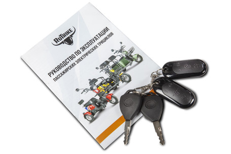 Трицикл электрический Rutrike Экипаж (белый)