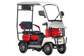 Трицикл электрический Rutrike Gelbert Lich 48V/60V 600Вт (красный)