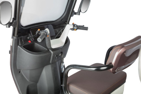 Трицикл электрический Rutrike Gelbert Sarin (48/60V, 1000W, коричнево-белый)