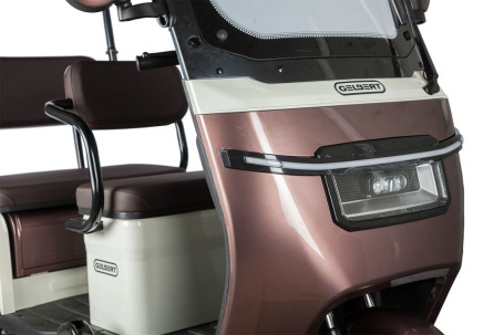 Трицикл электрический Rutrike Gelbert Sarin (48/60V, 1000W, коричнево-белый)