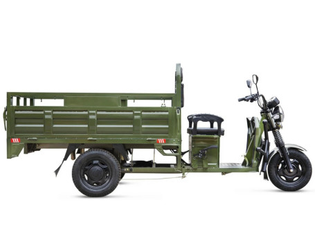Трицикл электрический Rutrike D4 Next 1800 60V1500W (зеленый)