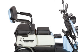 Трицикл электрический Rutrike Gelbert Vega 48V/60V 600Вт (красный)