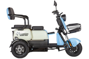 Трицикл электрический Rutrike Gelbert Vega 48V/60V 600Вт (фиолетовый)