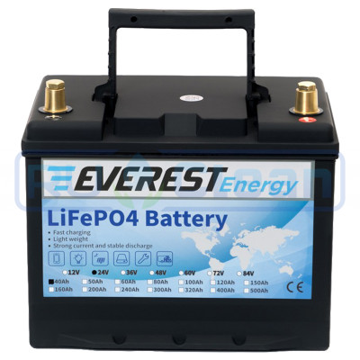 Тяговый аккумулятор Everest Energy (24В, 40Ач, LiFePO4)