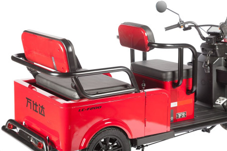 Трицикл электрический Wanshida LC-F200 60V 1000Вт (серый)