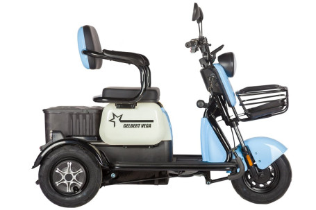 Трицикл электрический Rutrike Gelbert Vega (48/60V, 600W, фиолетовый)