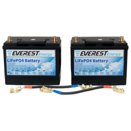 Тяговый аккумулятор Everest Energy (24В, 80Ач (40+40), LiFePO4)