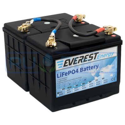 Аккумуляторная батарея Everest Energy (24В, 80Ач (40+40), LiFePO4)
