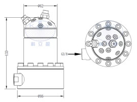 Насадка для мойки емкостей TCC5-2-1.0 (180бар, 21л/мин, 120град, гидропривод) Keliying