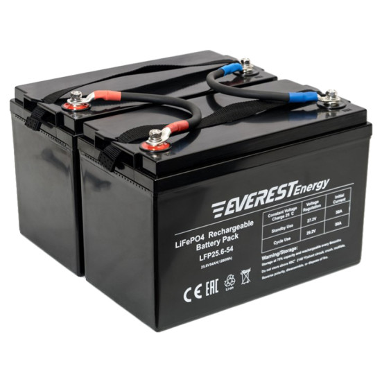 Тяговый аккумулятор Everest Energy (24В, 108Ач (54+54), LiFePO4)