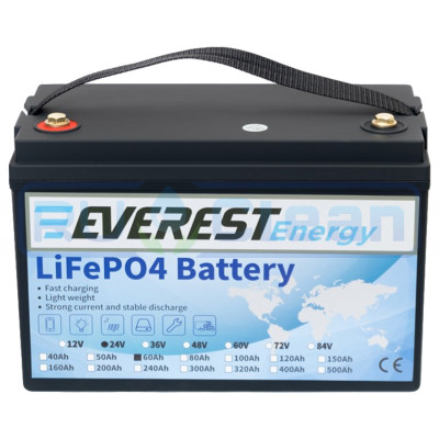 Аккумуляторная батарея Everest Energy (24В, 120Ач (60+60), LiFePO4)