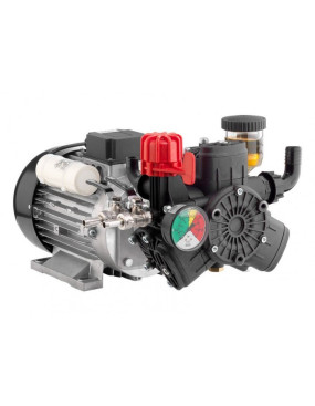 Мембранный насос AR 303 B + GR 40 EM (2.2кВт, 34.7л/мин, 35бар)