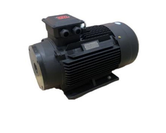 Электродвигатель TOR 14990 (22кВт, 380В, 1450об/мин, п.в. 24мм, Dфл 87мм, H132)