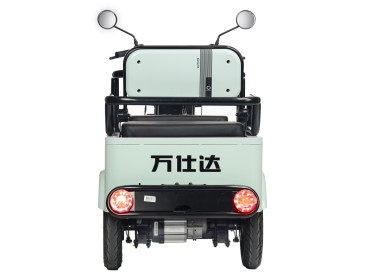 Трицикл электрический Wanshida LC-F150 60V 1000Вт (зеленый)