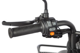 Трицикл электрический Wanshida LC300 (60V, 1000W, черный)