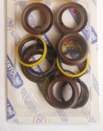 Ремкомплект Idrobase ZX.1793 (Bertolini KIT76, упл. плунжеров, TML)