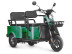 Трицикл электрический Wanshida LC-F150 (60V, 1000W, зеленый)