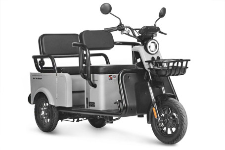 Трицикл электрический Wanshida LC-F150 (60V, 1000W, серый)