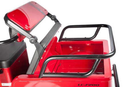 Трицикл электрический Wanshida LC-F200 (60V, 1000W, зеленый)