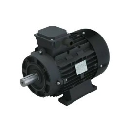Электродвигатель Melegari Luigi (15кВт, 380В, 1450об/мин, н.в.42мм, Dфл 87мм, H160M)