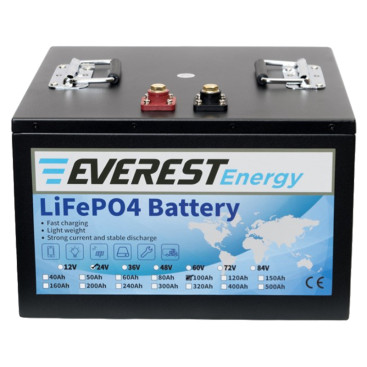 Тяговый аккумулятор Everest Energy (24В, 100Ач, LiFePO4)