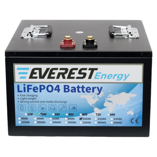 Тяговый аккумулятор Everest Energy (24В, 100Ач, LiFePO4)