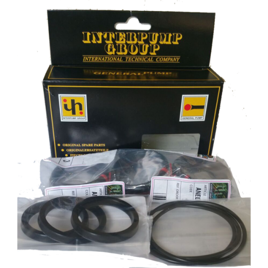 Ремкомплект IPG KIT299