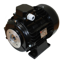 Электродвигатель Nicolini (4.0кВт, 380В, 1450об/мин, п.в. 24мм, Dфл 87мм, H100)