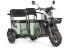 Трицикл электрический Wanshida LC300 60V 1000Вт (зеленый)