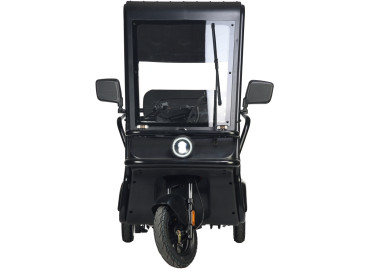 Трицикл электрический Wanshida NIPLA 570 60V 1000Вт (красный)