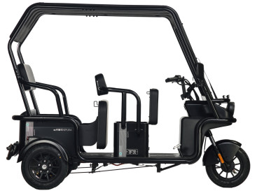 Трицикл электрический Wanshida NIPLA 570 60V 1000Вт (зеленый)