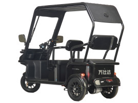Трицикл электрический Wanshida NIPLA 570 60V 1000Вт (зеленый)