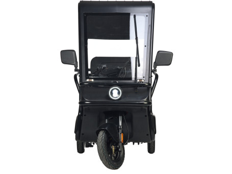 Трицикл электрический Wanshida NIPLA 570 (60V, 1000W, зеленый)