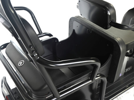 Трицикл электрический Wanshida NIPLA 570 (60V, 1000W, зеленый)