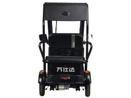 Трицикл электрический Wanshida NIPLA 570 (60V, 1000W, зеленый)