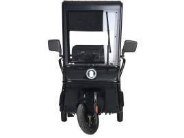 Трицикл электрический Wanshida NIPLA 570 (60V, 1000W, серый)