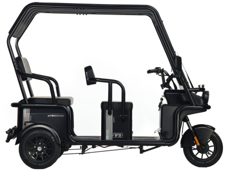 Трицикл электрический Wanshida NIPLA 570 (60V, 1000W, серый)