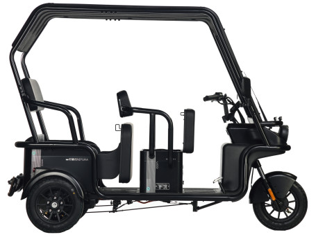 Трицикл электрический Wanshida NIPLA 570 (60V, 1000W, красный)