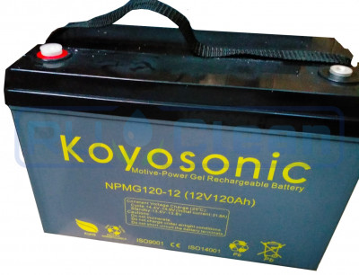 Тяговый аккумулятор Koyosonic NPMG335-6 (6В, 350А/ч)