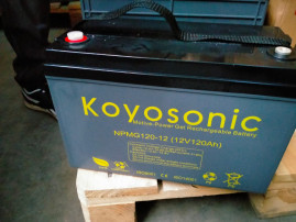 Тяговый аккумулятор Koyosonic NPMG335-6 (6В, 350А/ч)