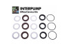 Ремкомплект манжет IPG KIT314 (Ф18мм)