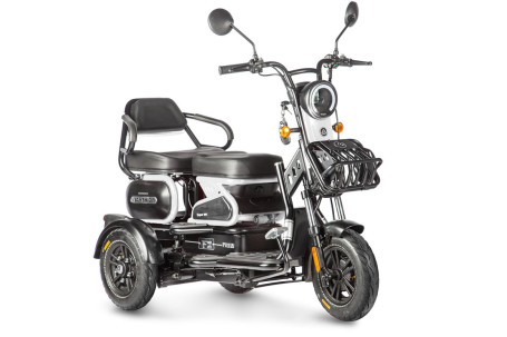 Трицикл электрический Wanshida HOT HATCH 60V 650Вт (черно-белый)