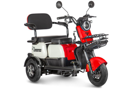 Трицикл электрический Rutrike Вега (красный) (026352-3251)