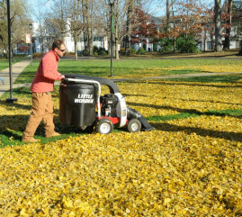 Садовый пылесос Little Wonder Pro Vac