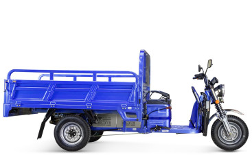 Трицикл электрический Rutrike Эксперт ПРО 2000 (серый)